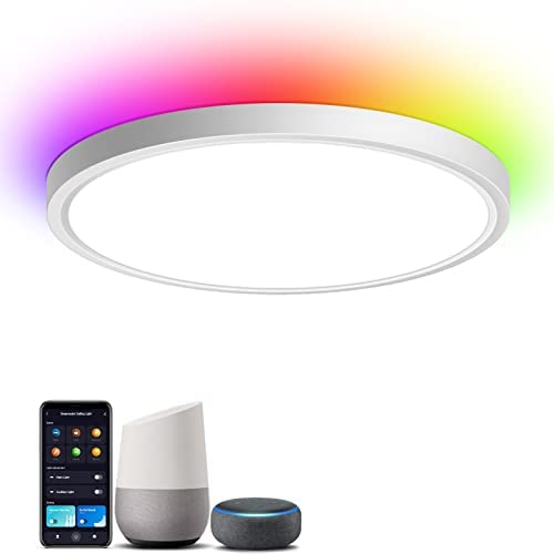 12 inch Smart Ceiling Light Fixture, 30W LED Flush Mount Ceiling Lights App & Voice Control, Compatible with Alexa Google Home, 3000K-6500K Color Changing RGB Ceiling Lighting for Living Room Hallway