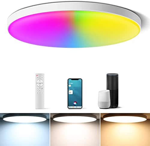 AIMENGTE LED Ceiling Light Fixture, Compatible with Alexa Google Home Homekit, Smart Ceiling Light for Livingroom/Bedroom, 12 Inch 24W