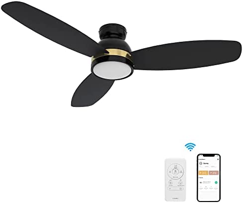 Smart Ceiling Fan with 10 Speeds DC Motor, Indoor & Outdoor Modern Ceiling Fan with Remote, 52" Flush Mount Ceiling Fan Compatible with Alexa, Siri & Google, Black Ceiling Fan